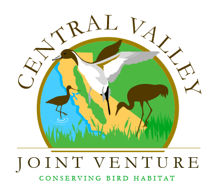 CVJV Logo - no background - Med