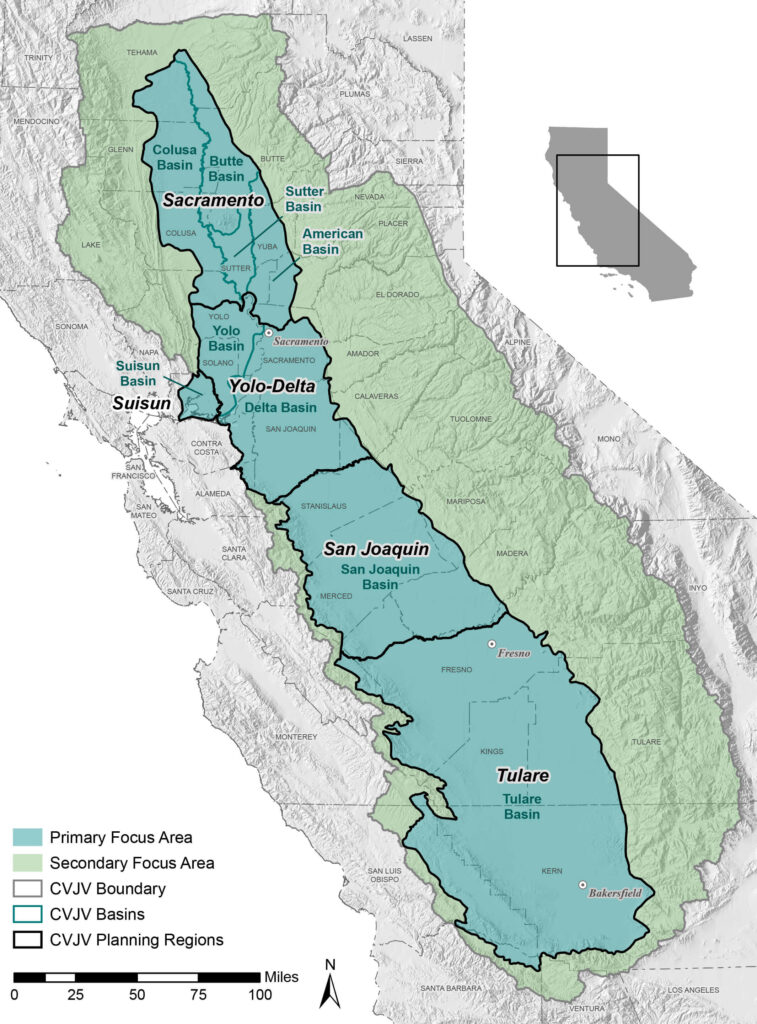 Map of Central Valley Joint Venture's primary and secondary focus areas and planning regions.