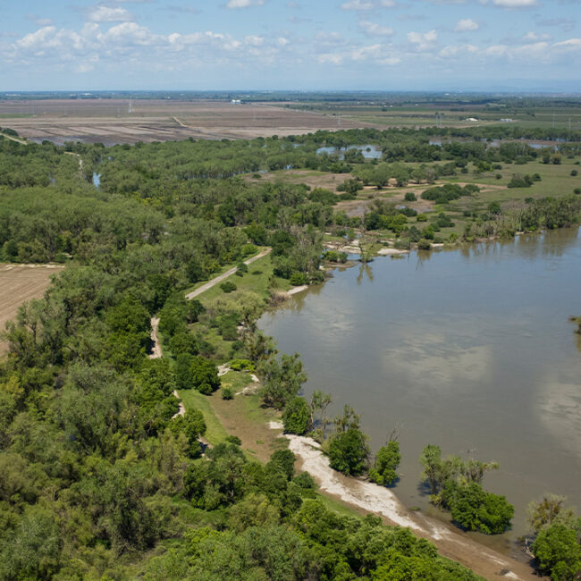 An aerial photo of a large river with forested banks.