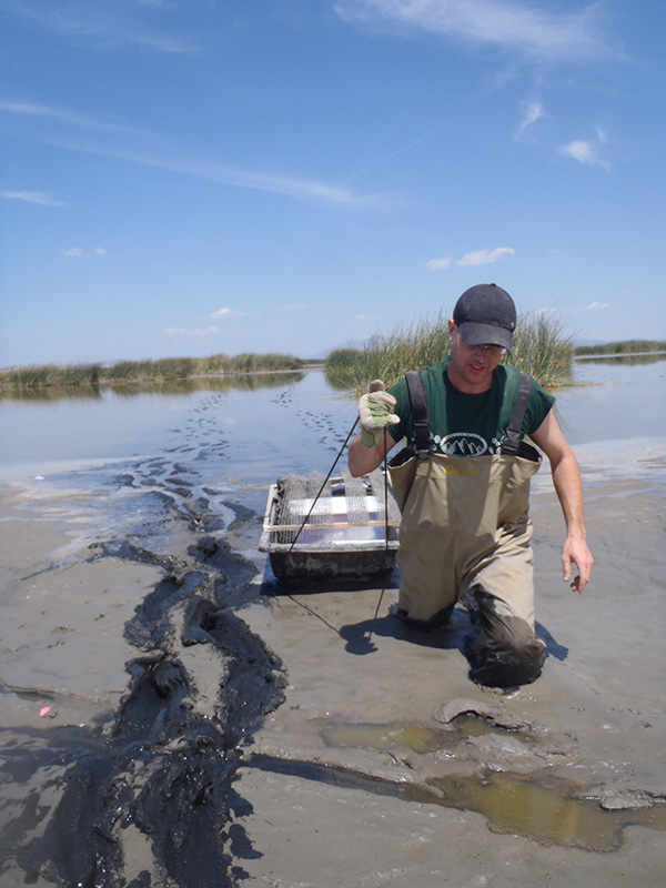 A researcher in waders walking through thigh-deep mud dragging a small aluminum boat. A clear blue sky above.