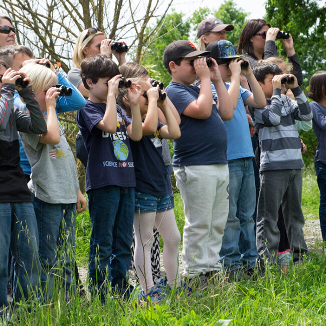 Photo of a group of school children bird watching with binoculars.