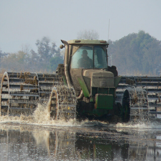 A big tractor splashing through a flooded rice field with huge steel mud-wheels.