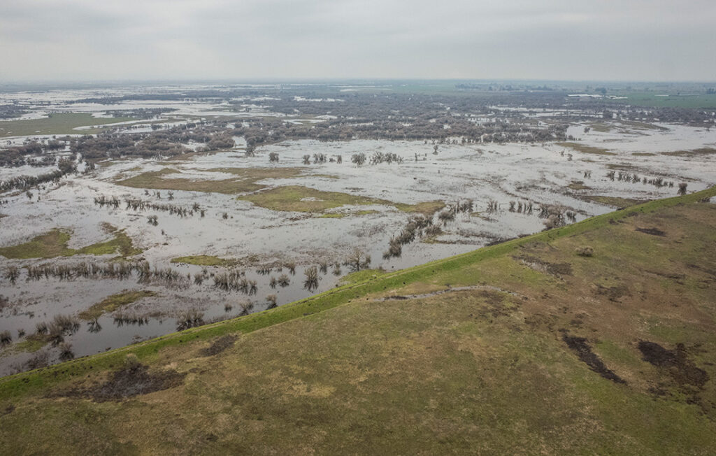 Aerial shot of floodplains inundating the grasses and low-laying forests.