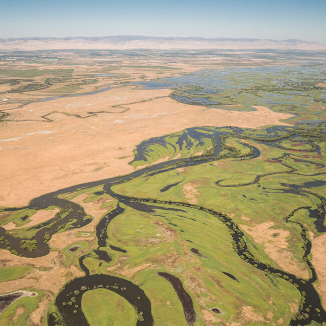 An aerial photo of a meandering river through bright green floodplains.