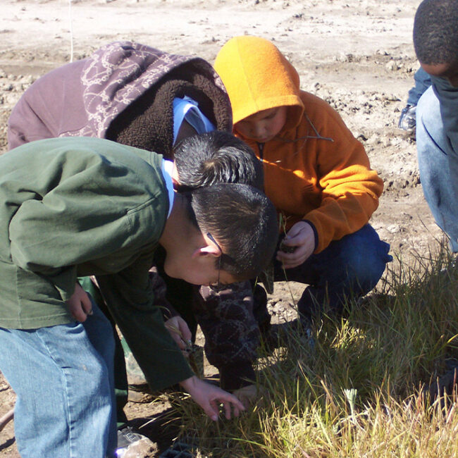A bunch of kids looking at something small in a clump of grasses.