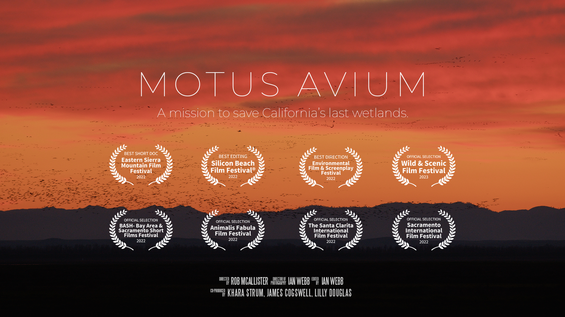 MOTUS AVIUM: A mission to save California’s last wetlands.