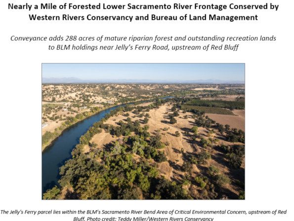 Nearly a Mile of Forested Lower Sacramento River Frontage Conserved by Western Rivers Conservancy and Bureau of Land Management