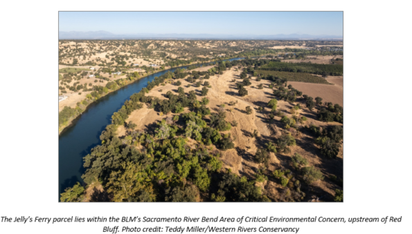 Nearly a Mile of Forested Lower Sacramento River Frontage Conserved by Western Rivers Conservancy and Bureau of Land Management